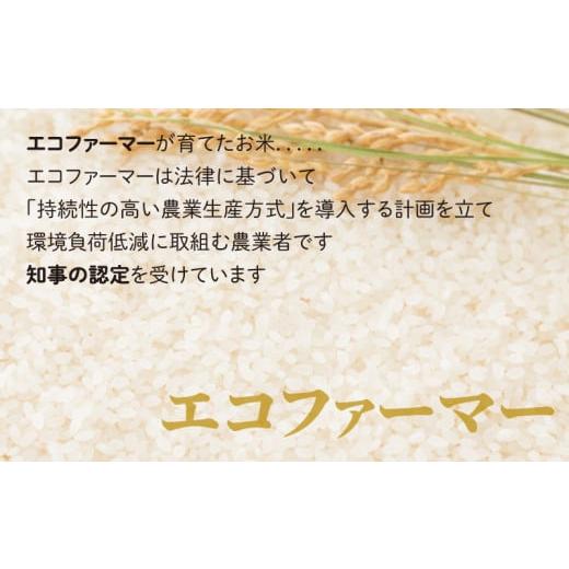 ふるさと納税 福井県 大野市 こしひかり（福井県大野市産）エコファーマー（白米）3kg