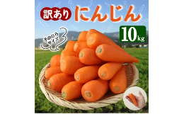 訳あり にんじん 10kg