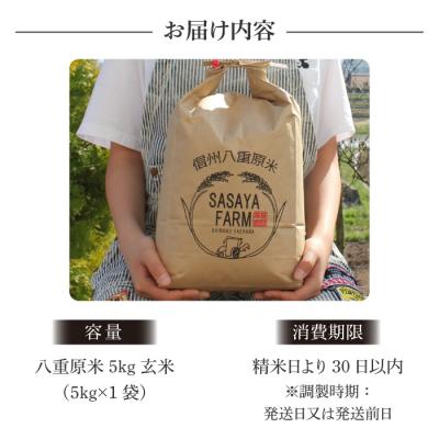 ふるさと納税 東御市 八重原米 玄米 5kg (5kg×1袋)