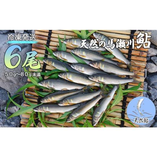 ふるさと納税 岐阜県 下呂市 予約受付（発送時期：2024年7月中旬〜9月頃まで） 清流が育む天然の馬瀬川鮎 ６尾（１尾あたり重さ50g〜80g未満　中…