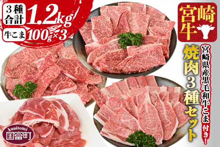 ＜宮崎牛 焼肉3種セット（ウデ・モモ・バラ）合計1.2kg ＋ 宮崎県産黒毛和牛こま切れ 合計300g＞2024年2月以降に順次出荷