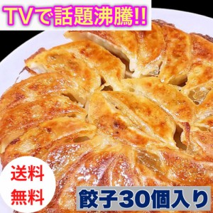 町田餃子 ニンニク 入り 餃子 30個入り 日本テレビ ZIP TBS 有吉ジャポン フジテレビ 爆買いスター テレビ TV 紹介