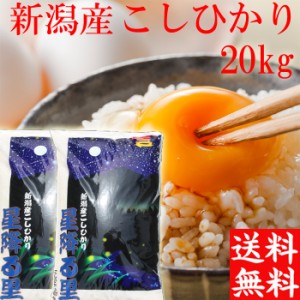 新米 令和5年 新潟産 コシヒカリ 20kg 送料無料 白米20キロ 送料無料 新潟県産 こしひかり 20キロ 10キロ×2袋 お米 送料無料 お米20kg