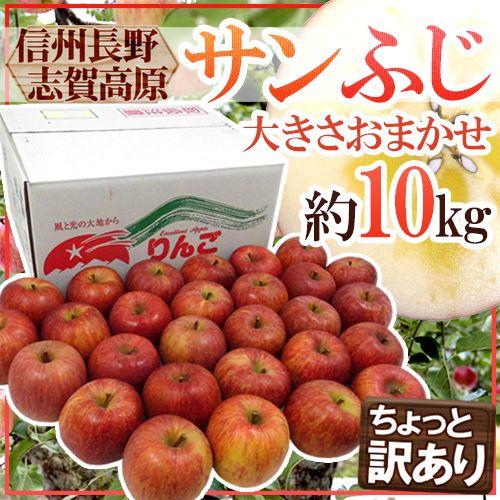 りんご 長野県 志賀高原産 ”サンふじ” 訳あり 約10kg 大きさおまかせ 送料無料