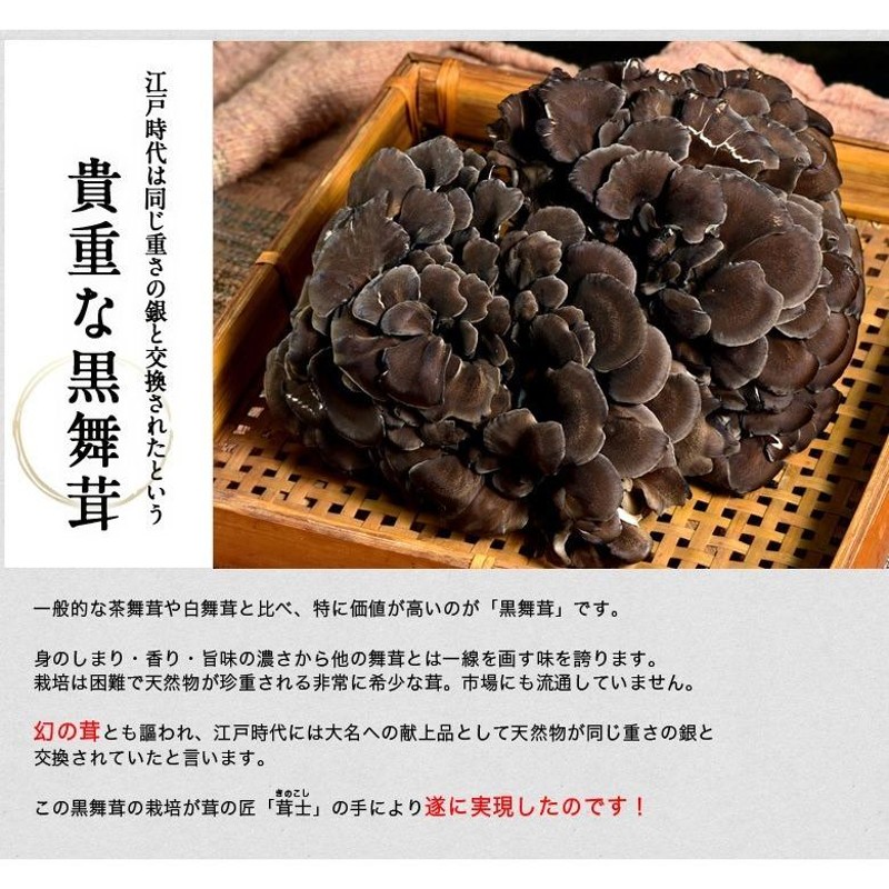 ⑥ 天然きのこ 舞茸 900g まいたけ マイタケ きのこ キノコ 茸-