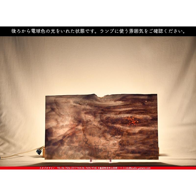 ブルザイ_BU-6318-0000_BU_E_719202200053_写真の1 2が基本サイズ_25cm×22cm