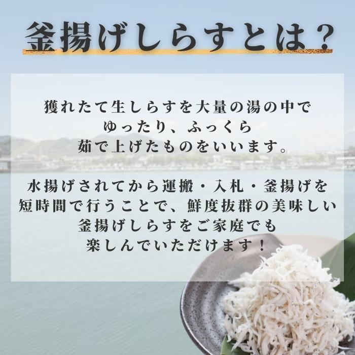 駿河湾産 釜揚げしらす「駿河湾産 釜揚げシラス 100ｇ」しらす 釜揚げ 産地直送 小分け 送料無料(本州のみ)