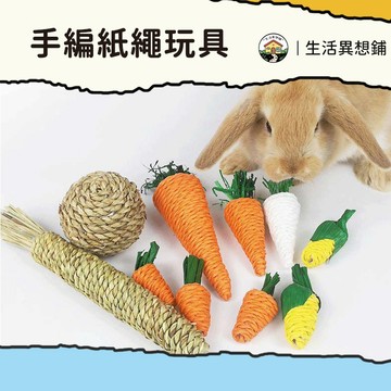 貓咪玩具 貓咪啃咬 寵物玩具 編織磨牙玩具 解悶玩具 豚鼠 龍貓 貓咪 小寵物玩具 手編玩具 寵物玩具 手編胡蘿蔔玩具
