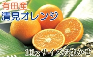 [厳選]有田産清見オレンジ約10kg（サイズおまかせ・秀品） ※2024年2月上旬～3月下旬頃順次発送予定（日付指定不可）