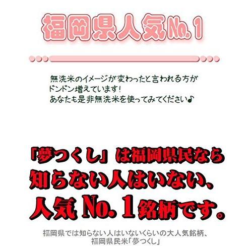 藤食糧 無洗米　福岡県産夢つくし　5kg(5kg×1袋)