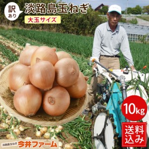 お歳暮 御歳暮 2023 #淡路島 玉ねぎ 訳あり大玉サイズ 10キロ#  送料無料 今井ファーム 国産 安心安全 産地直送 新たまねぎ タマネギ 採