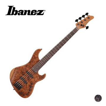 Ibanez MDM1605 五弦電貝斯 (共2色)