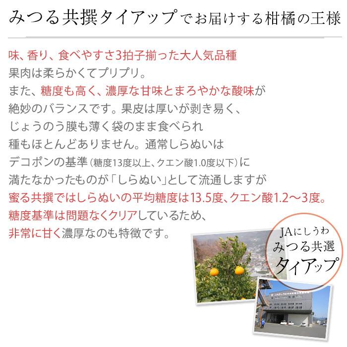 みつる不知火 愛媛県産 しらぬい 訳あり 約10kg L〜4Lサイズ 30〜48玉