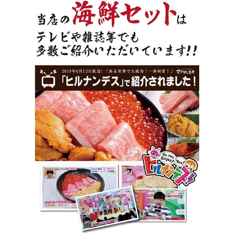 海鮮 ギフト グルメ セット 人気 食べ物 贈答用 ランキング 海鮮丼 海鮮 福袋 魚 鮪 まぐろ 本鮪大トロ 無添加うに 醤油漬けいくら