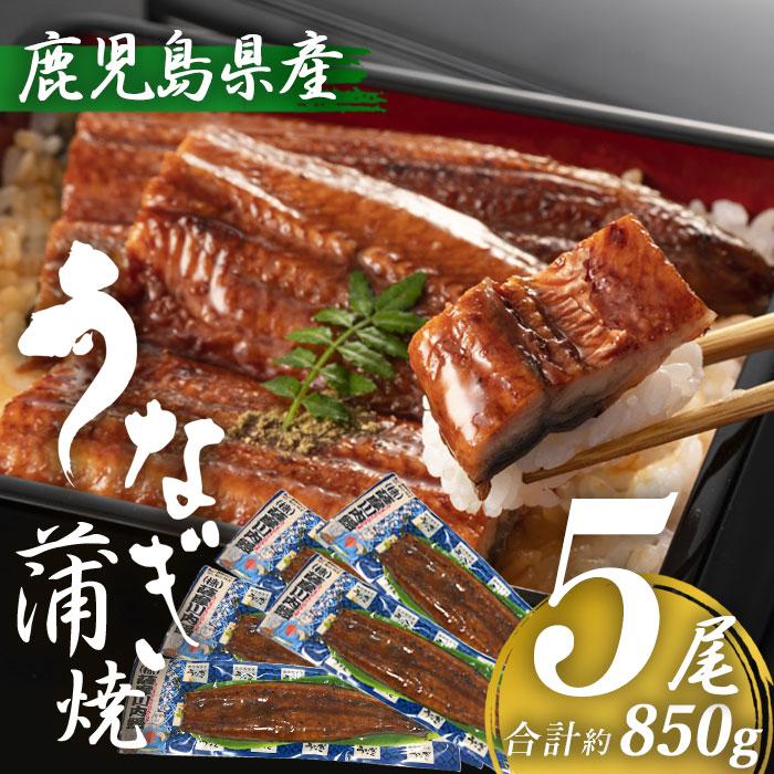 鹿児島県産 うなぎ蒲焼き 約170g×5尾 (タレ・山椒付き)  特大 国産 九州産 鹿児島産 薩摩川内うなぎ 冷凍 鹿児島 誕生日 御歳暮 お祝い お礼 内祝い 退職祝い