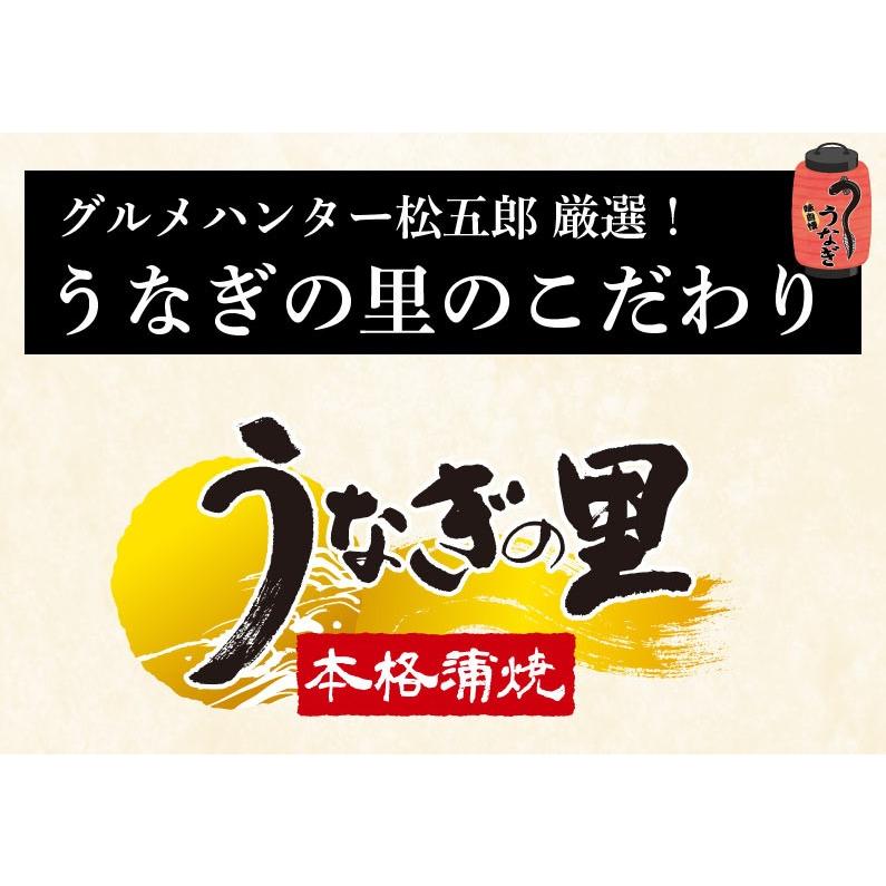 ギフト プレゼント 80代 うなぎ 国産 unagi 蒲焼き 鹿児島産 ウナギの里 長蒲焼き106g〜116 g1本＋きざみ2人前 クール