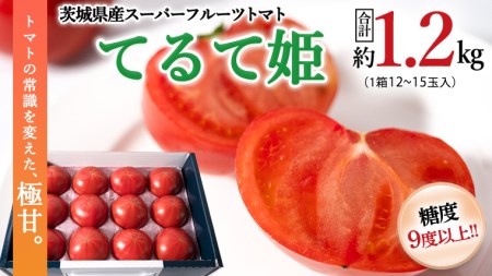 スーパーフルーツトマト てるて姫 中箱  約1.2kg×1箱  糖度9度以上 ブランドトマト フルーツトマト トマト とまと  [BC033sa]