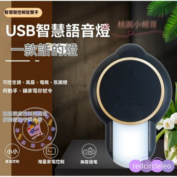 [台灣出貨]美升級款語音遙控器 小夜燈AI語音智能控制 紅外綫萬能遙控器 床頭聲控 歐式創意氛圍燈 7彩燈光 空調聲控