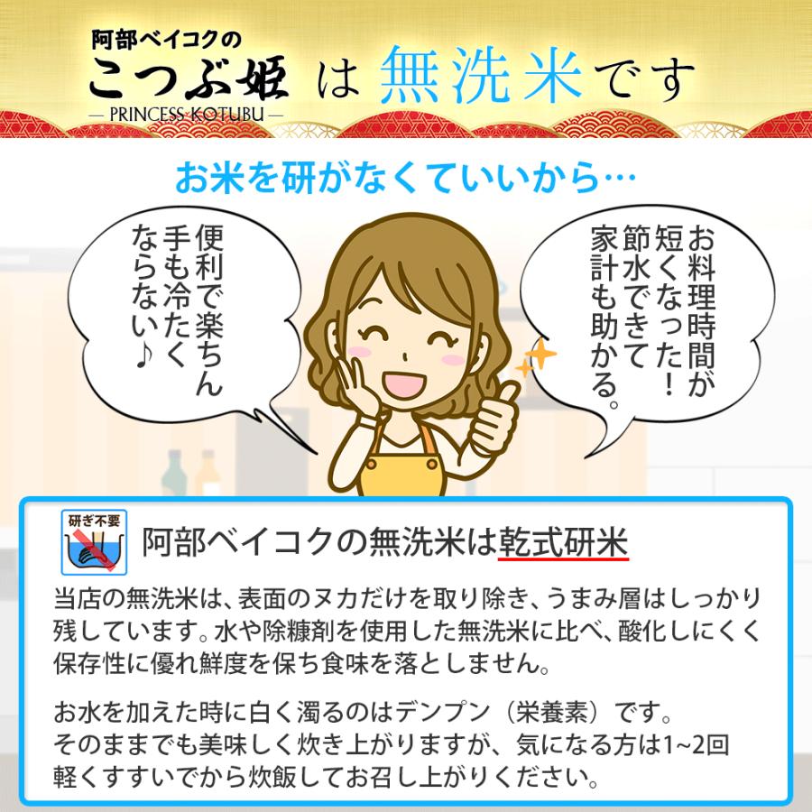 無洗米 10kg (5kg×2袋) こつぶ姫 国内産 オリジナルブレンド米