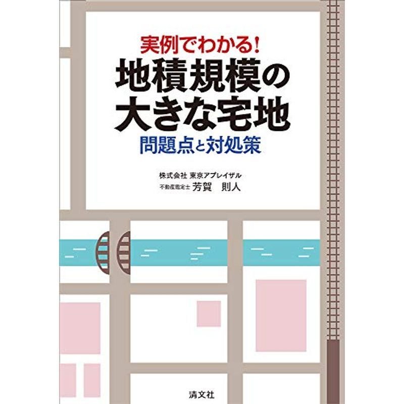 実例でわかる 地積規模の大きな宅地 問題点と対処策