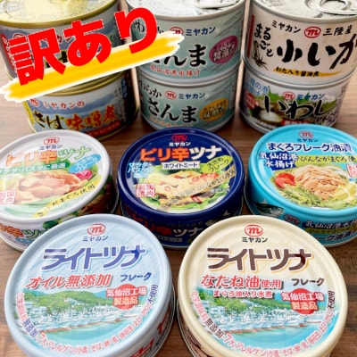  お任せ缶詰バラエティセット 10缶 缶詰 ツナ缶 さば缶 さんま缶 いか缶 いわし缶