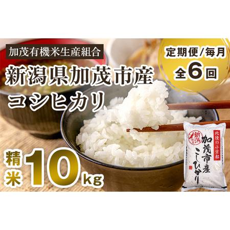 ふるさと納税 新潟県加茂市産コシヒカリ 精米10kg（5kg×2）白米 加茂有機米生産組合 定期便 定期購入 定期 コシ.. 新潟県加茂市