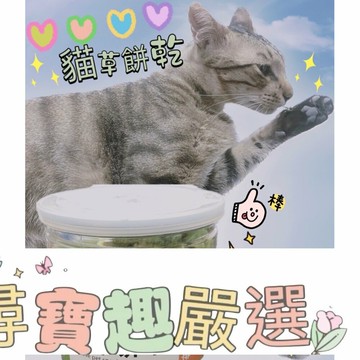 現貨 去毛球貓草餅乾/益生菌貓草餅乾/貓草餅乾/貓草/貓薄荷 S01-1
