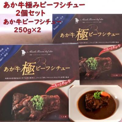 ふるさと納税 上天草市 あか牛極ビーフシチュー2個セット(あか牛ビーフシチュー250g×2)(上天草市)