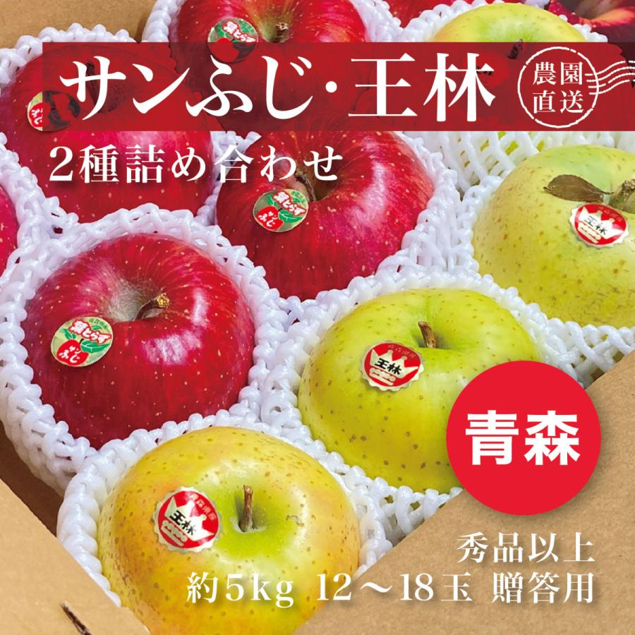 最初の 信州産 サンつがる りんご 家庭用 約4.5kg 14玉〜20玉 産地直送 減農薬 無化学肥料栽培