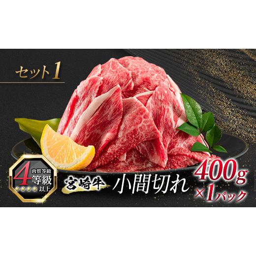 ふるさと納税 宮崎県 日南市 ≪数量限定≫宮崎牛小間切れ＆ミンチセット(合計1kg)　肉　牛　牛肉 BB126-23