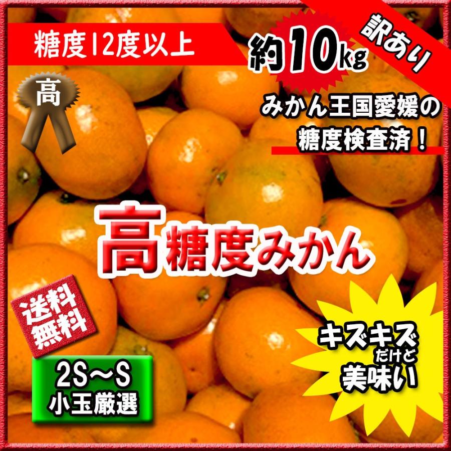 みかん 訳あり 箱買い 高糖度みかん 小玉厳選 愛媛みかん 糖度12度以上 約10ｋｇ 家庭用 送料無料