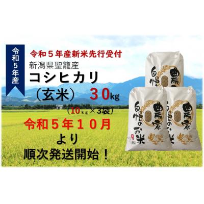 ふるさと納税 聖籠町 新潟県聖籠産玄米コシヒカリ 30kg