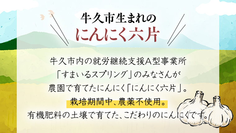 《 栽培期間中 農薬不使用 》牛久市産 にんにく 1kg 有機肥料 こだわり 野菜 根菜 薬味 栄養 六片 大蒜 ニンニク ガーリック 就労支援 農園 茨城県 国産 [AM148us]