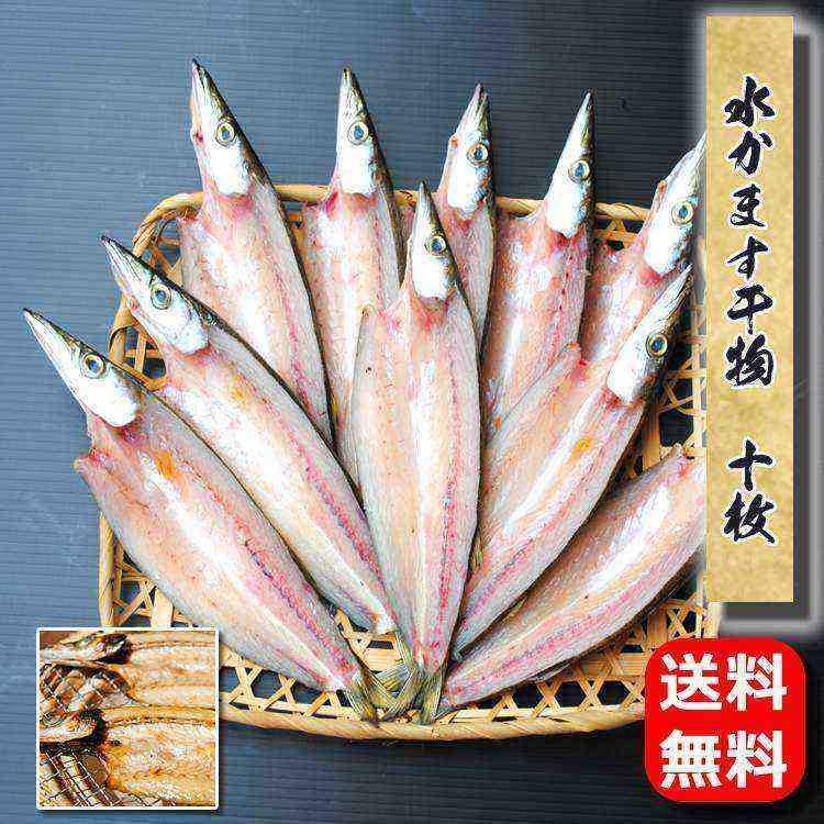 ☆送料無料☆かます干物　10枚--秋に小田原を代表する魚です♪