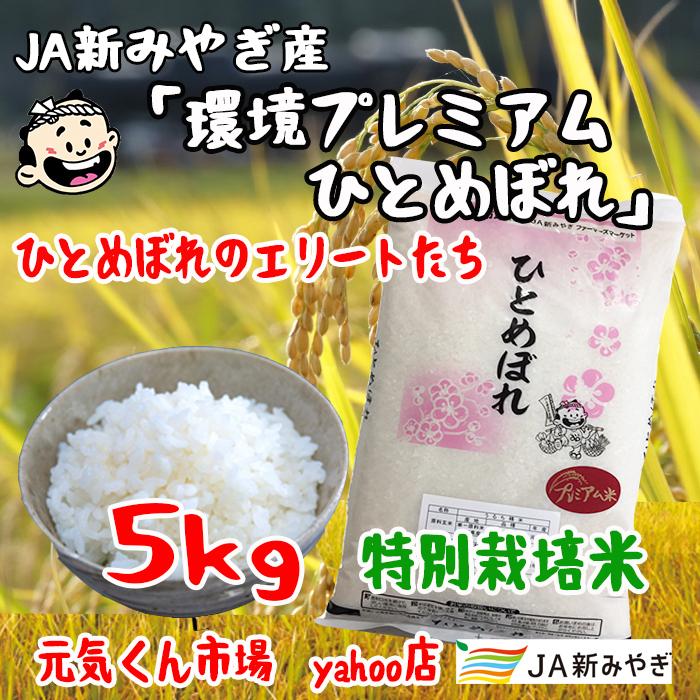 令和5年産　環境プレミアムひとめぼれ　宮城県産　5Kg　特別栽培米（減農薬・減化学肥料）　精米　送料無料（一部地域を除く）