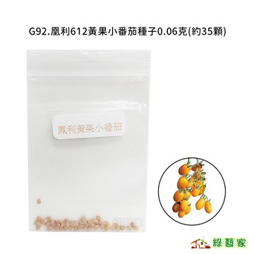 G92.凰利612黃果小番茄種子0.06克(約35顆)(F1,半停心型,早生,豐產,耐熱性佳,果實橢圓形)【綠藝家】