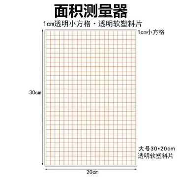 🌈「學校專用」科學教具 面積測量器透明小方格國小數學幾何教學儀器國小數學學具 30*20cm