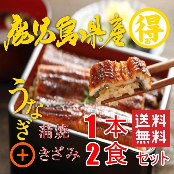 うなぎ蒲焼き１本　きざみうなぎ２食セット　国産　鹿児島県産　送料無料　クール便　ギフト　お中元