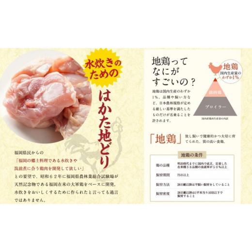 ふるさと納税 福岡県 朝倉市 水炊き セット 3〜4人前 福岡 限定！はかた地どり 鶏 肉 とり肉 鳥肉 鶏肉 鍋 なべ スープ付き ポン酢 コラーゲン 地鶏 冷凍 贈答…