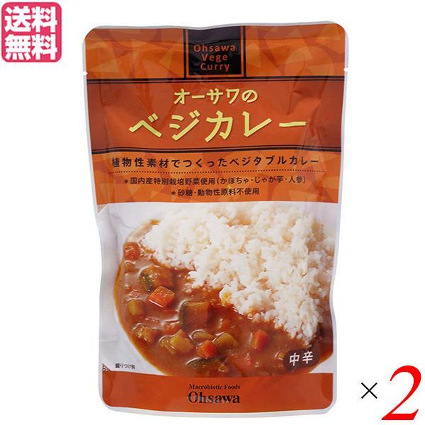 カレー レトルト ベジタリアン オーサワのベジカレー（中辛）210g 2袋セット 送料無料