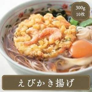 冷凍食品 ニッスイ えび入り かき揚げ 10枚入 業務用 惣菜