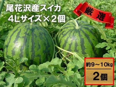 先行予約 スイカ すいか 尾花沢産スイカ 4Lサイズ 約9kg×2玉 7月下旬～8月中旬頃発送 尾花沢 スイカ すいか 令和6年産 2024年産 観光物産 kb-su4xx2