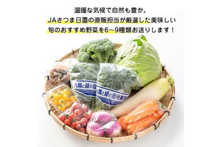 No.788 旬の野菜の詰め合わせ(6~9種類)