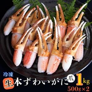 ふるさと納税 生冷 本ずわいがに 爪 1kg (500g×2) カジマ ずわい蟹 ズワイガニ ずわいがに かに カニ 蟹 かに爪 カニ爪 蟹爪 茨城県大洗町