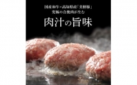 生姜好きにオススメ！老舗レストランの国産牛と美鮮豚ハンバーグ130g×4ケ＋黄金しょうがソース×2袋 ハンバーグ セット 8000円 牛肉 豚肉 和牛  美味しい おいしい 小分けパック 個包装 冷凍 食品 故郷納税 返礼品 高知 贈り物 ギフト 熨斗