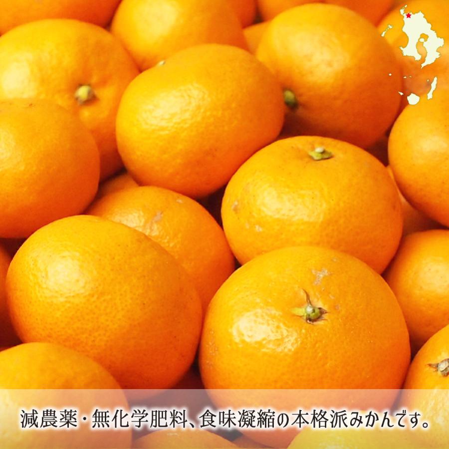 温州みかん 秀品 小玉 S 5kg 鹿児島県出水市産 減農薬 無化学肥料 特別栽培 ミカン 10月下旬〜12月中旬 送料無料