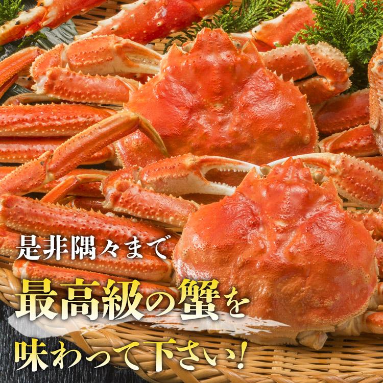 ボイル済み 姿ずわい蟹 2尾 セット約1.1kg(1kg〜1.2kg) 高級カナダ産 大サイズ ズワイガニ 冷凍便 ギフト