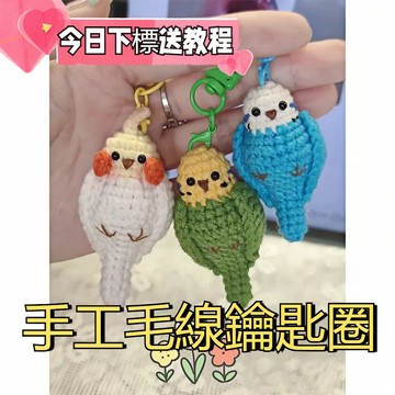 免運💯新手初學手工編織 diy材料包 毛綫鈎針可愛仿真鸚鵡掛件鑰匙扣禮物 送鉤針 教學影片 搞怪包包掛飾 手工diy材料