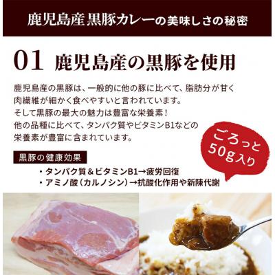 ふるさと納税 古賀市 鹿児島黒豚カレー 5パック