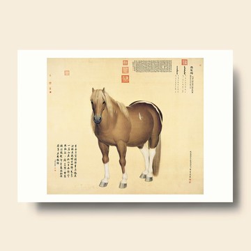 【藝術畫卡】郎世寧 雪點鵰  | B4畫卡